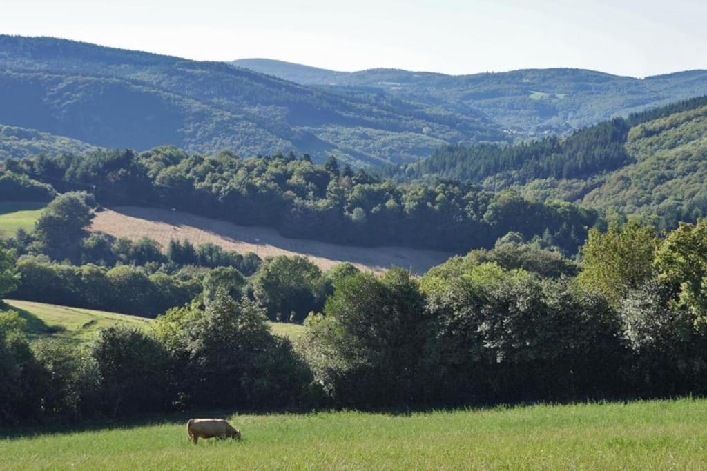 Ahoma, Sejour Bien-Etre, Calme Et Serenite. Labruguière Dış mekan fotoğraf