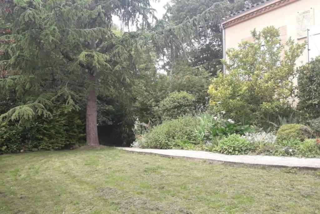 Ahoma, Sejour Bien-Etre, Calme Et Serenite. Labruguière Dış mekan fotoğraf